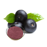 Bột chiết xuất Acai Berry