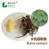 Chiết xuất Kava Kava Trung Quốc