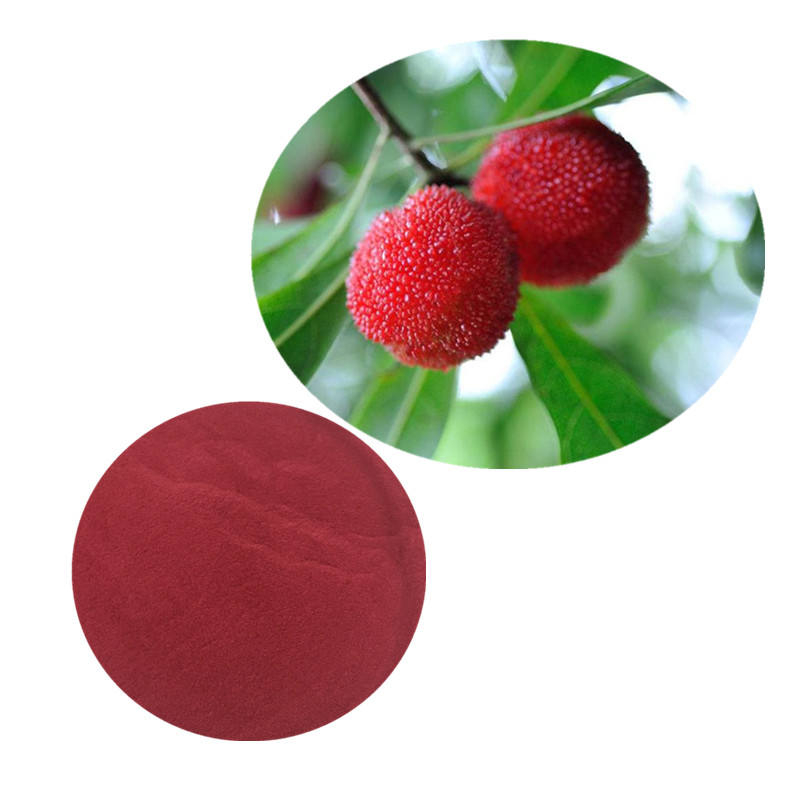 Bột chiết xuất Myrica Rubra Bột chiết xuất Waxberry Bột chiết xuất Bayberry đỏ